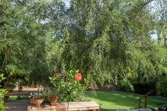 402-Magnolia-Oak-Dr-25