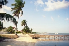 Belize050
