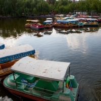 mg_3586