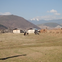 mg_6194