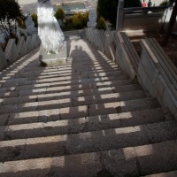 mg_6445