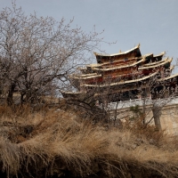 mg_6464