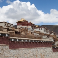 mg_6649