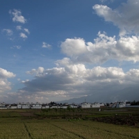 mg_3776